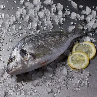 Полезные свойства рыбы дорадо