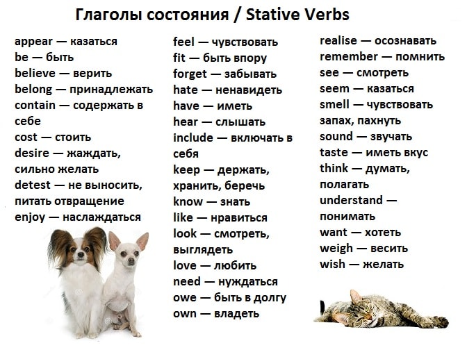 glagoly-sostoyaniya-Stative-Verbs