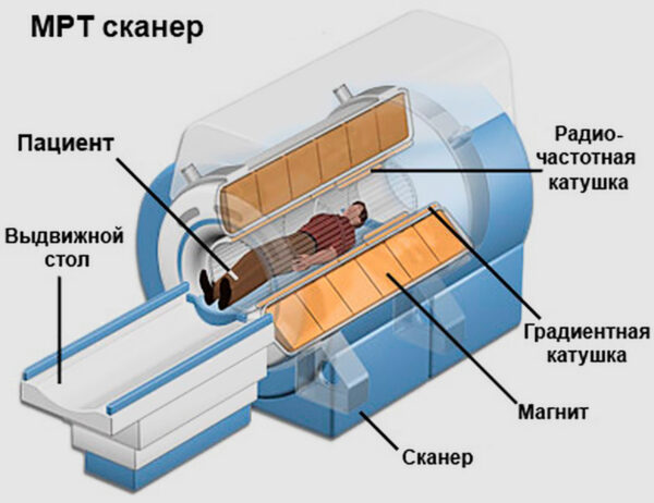 Как устроен томограф: от магнита до изображения — как работает оборудование МРТ
